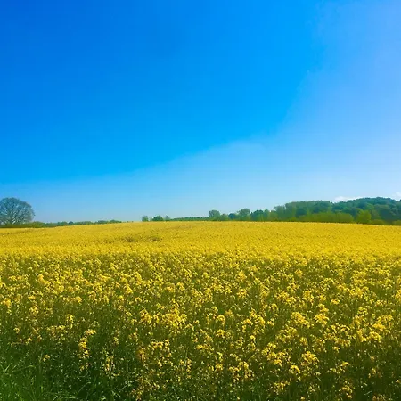 בית נופש Lavendelmeer Windeby